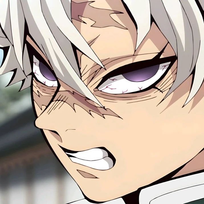 시나즈가와 사네미