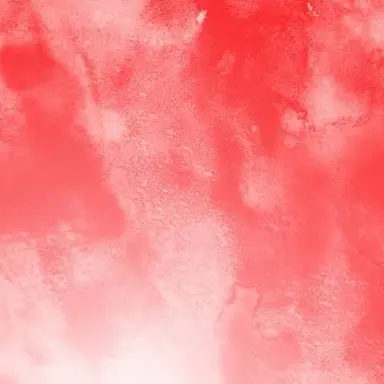 Profile image of ソンファ