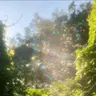 Profile image of 서예은