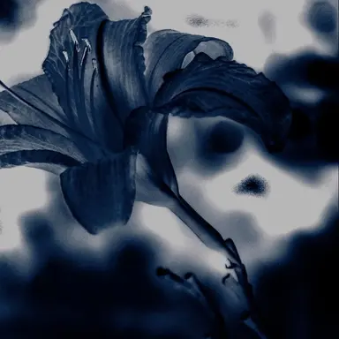 Profile image of 행크