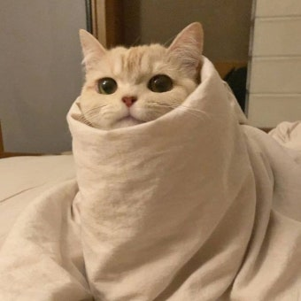 이민호 대표 이미지