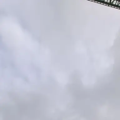 Profile image of TWS