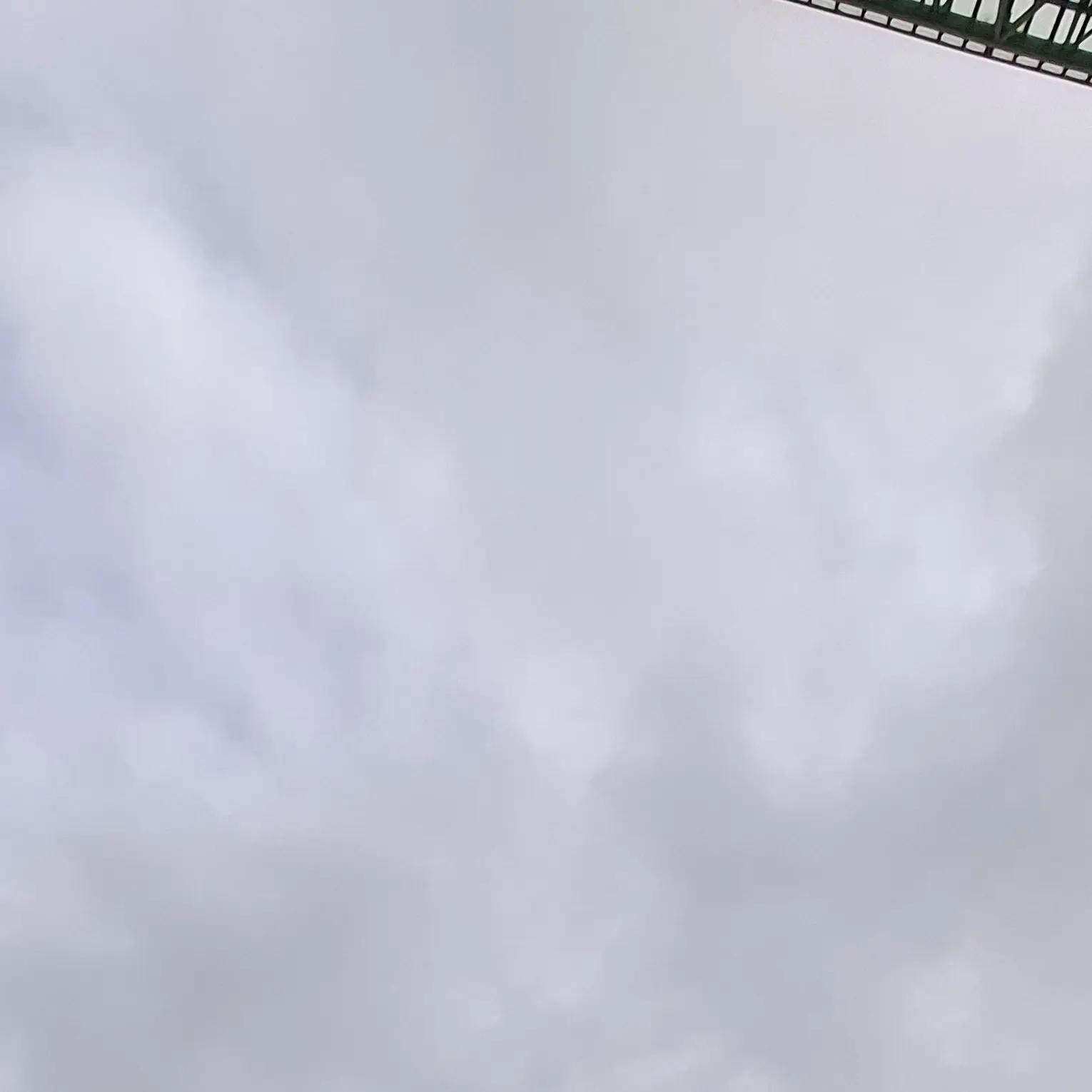 RacialDaisy0229의 투어스 지훈 되기