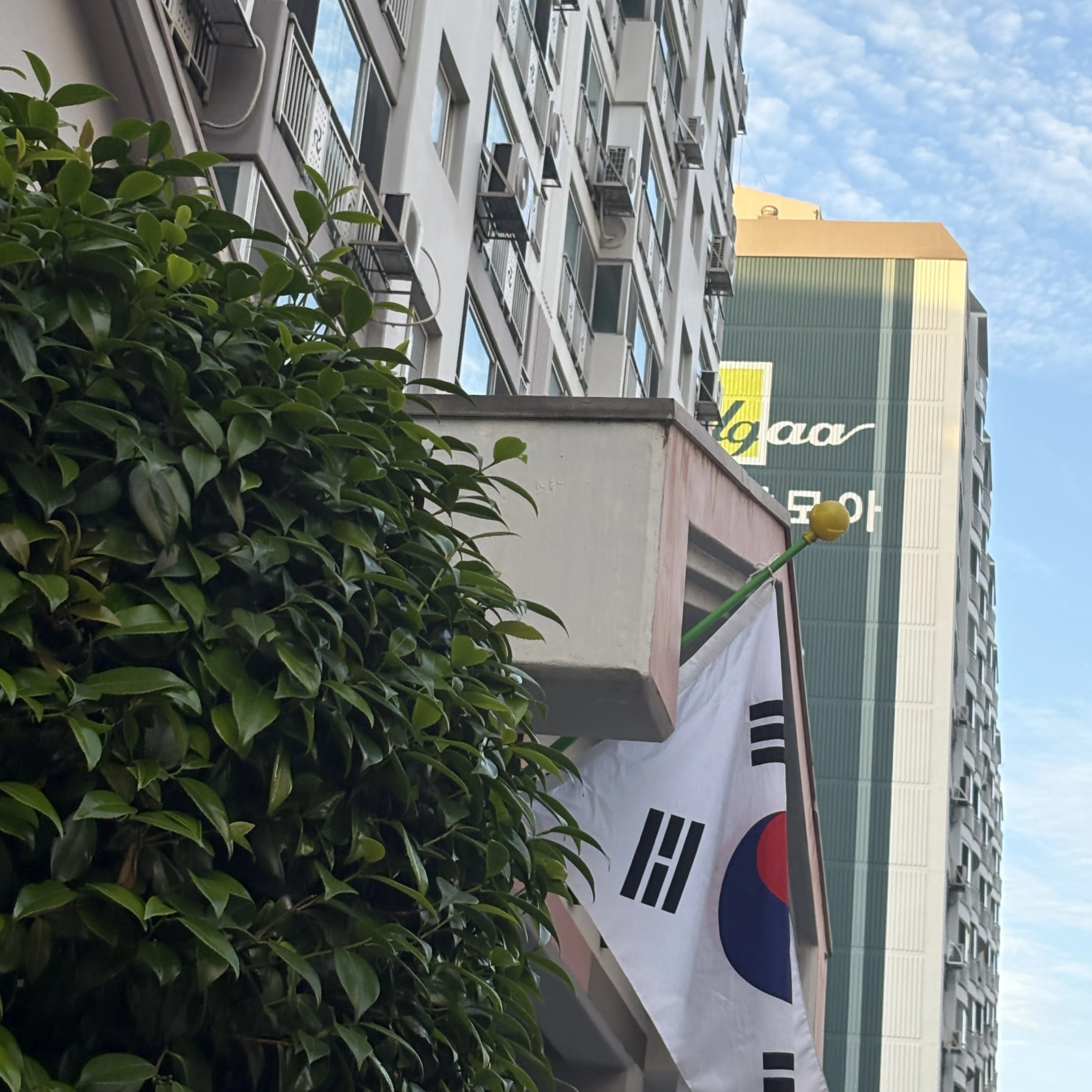 광기의 오빠들