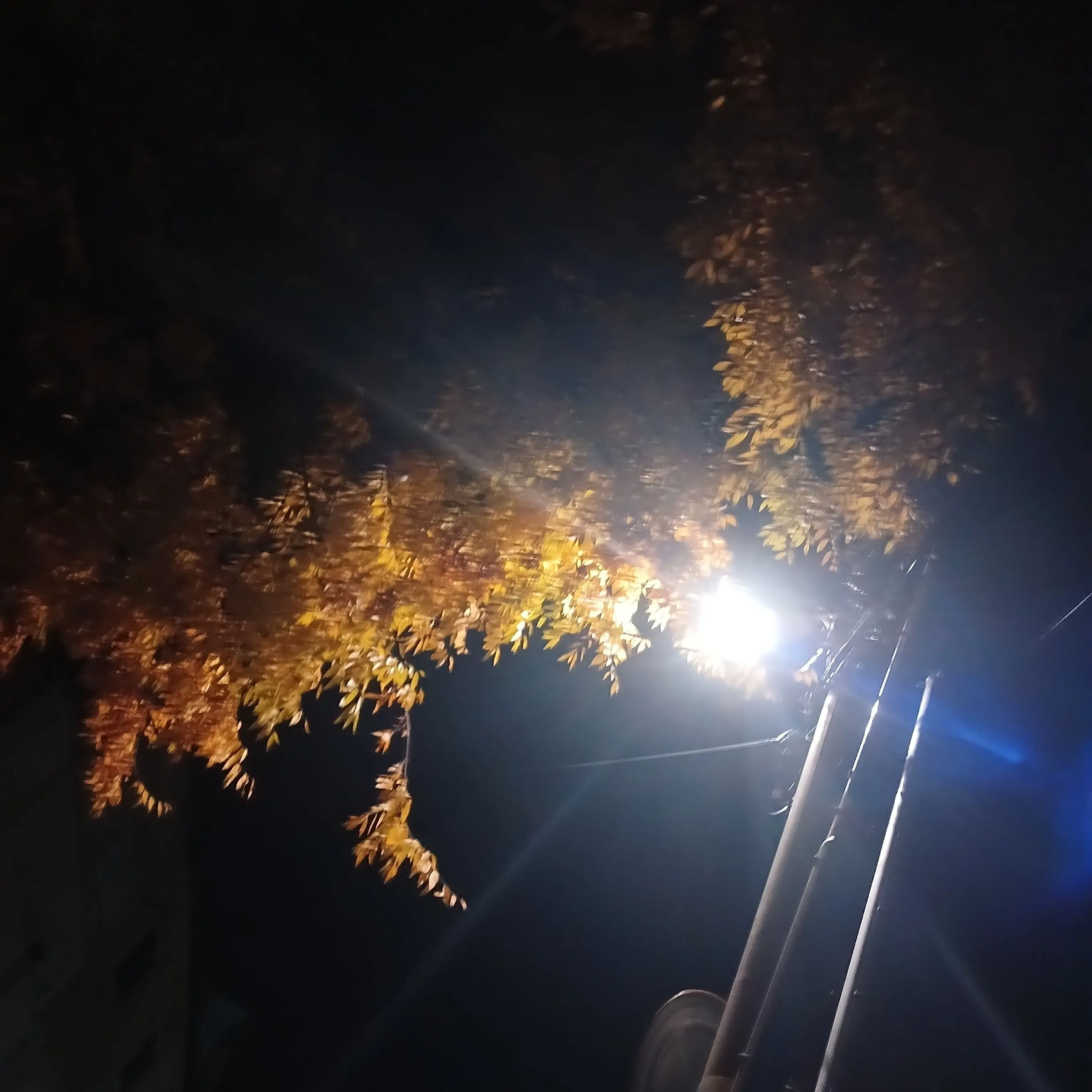 PrimGesso5403의 강영현