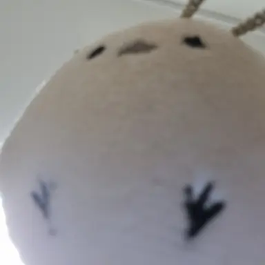 Profile image of 선생님