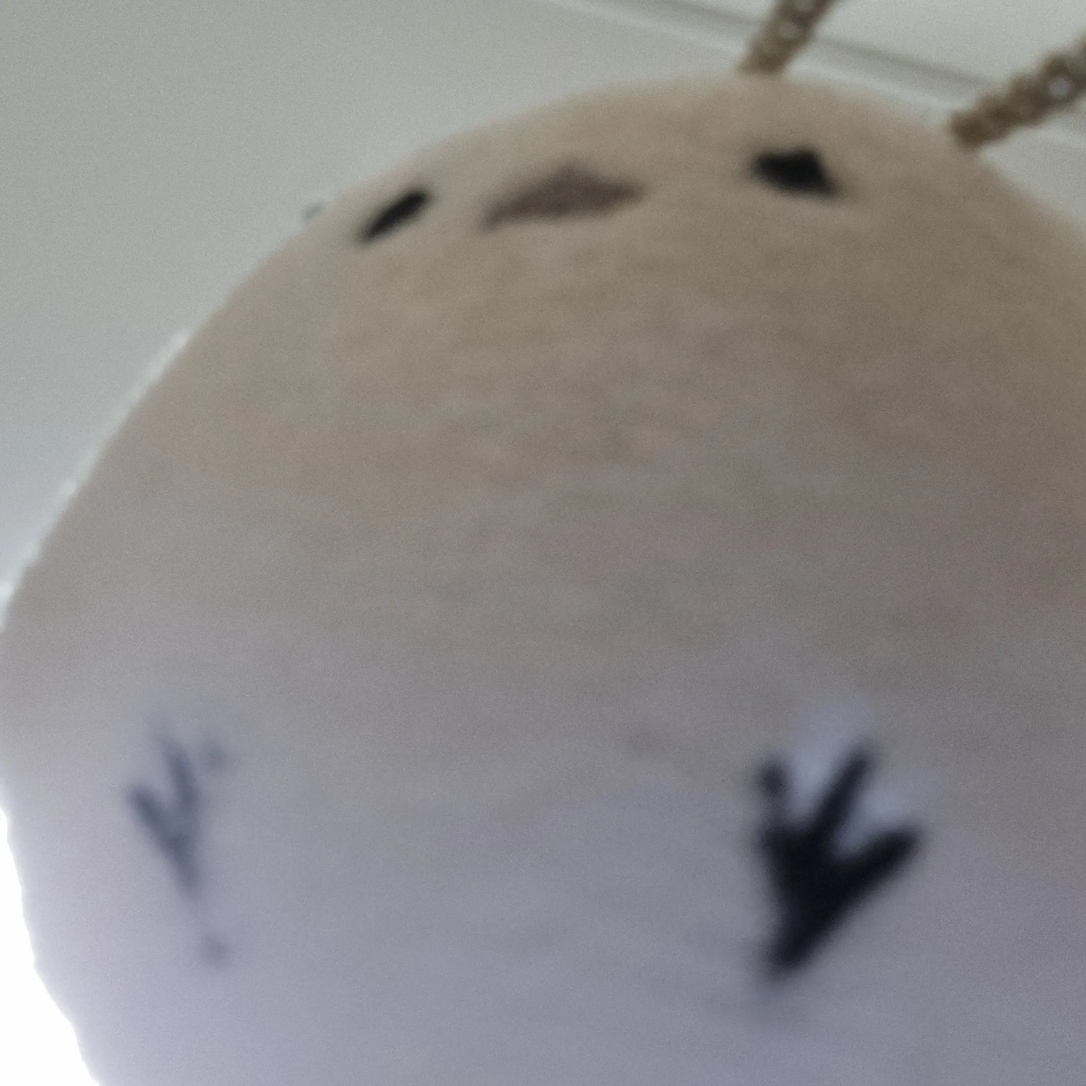 MuggyClamp6737의 초등학생 1학년 일상이다 ㅋ