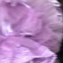 Profile image of 野口衣織