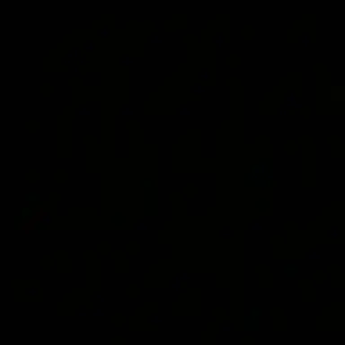 Profile image of P