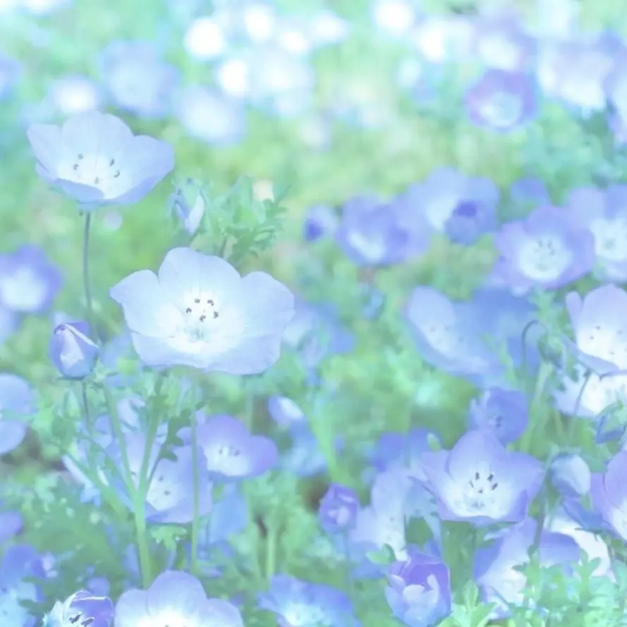 Meronsan0102의 あれって…