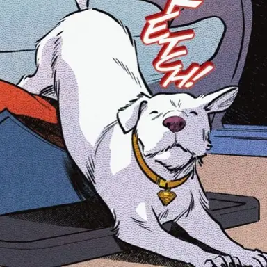 Profile image of Krypto