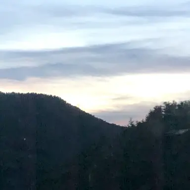 Profile image of 여우