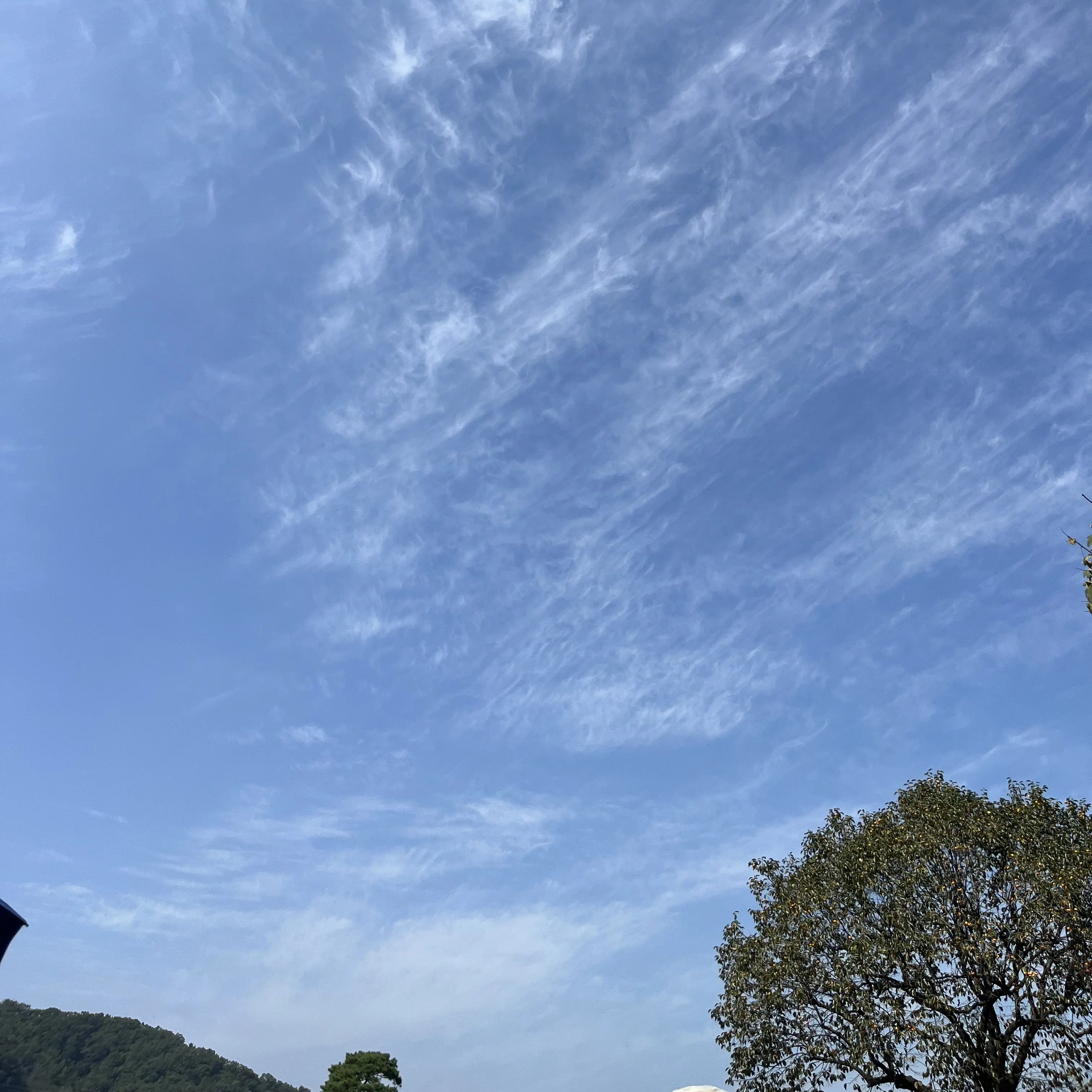 Lill1107의 너네 사궈어~~~~???(여우있음)