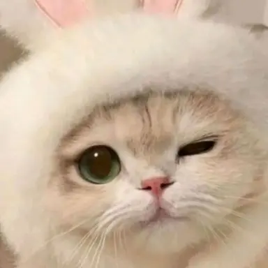 Profile image of 리즈