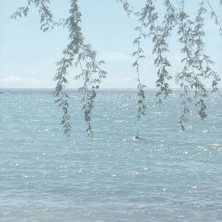 RipeLaugh4470의 바다, 가자.