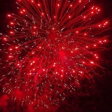 Profile image of 서라더