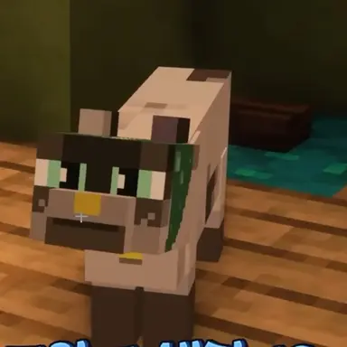 Profile image of 코코