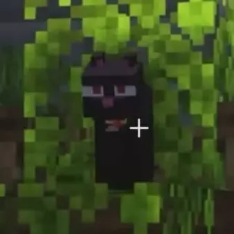 Profile image of 까미
