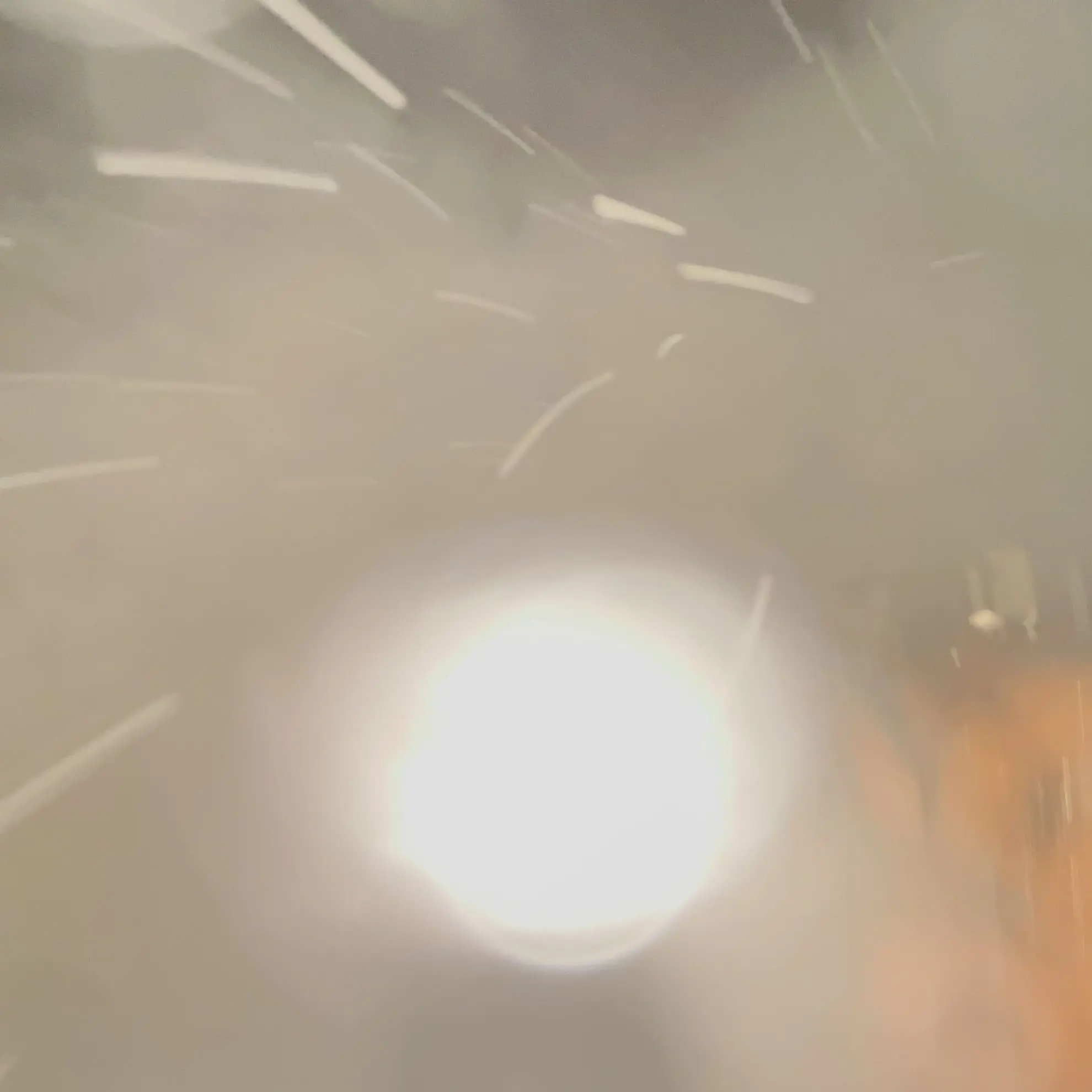 Coconut_Ieum의 박태오