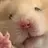 딩딩이