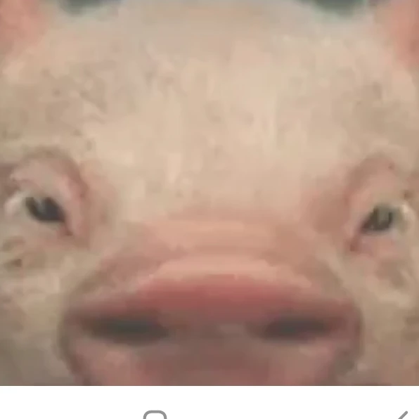 솔트