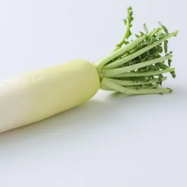 Profile image of ペッシ