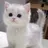 にゃたろう