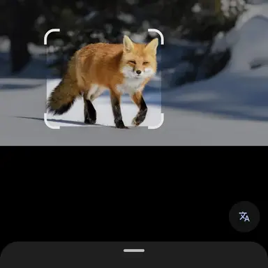Profile image of 여우