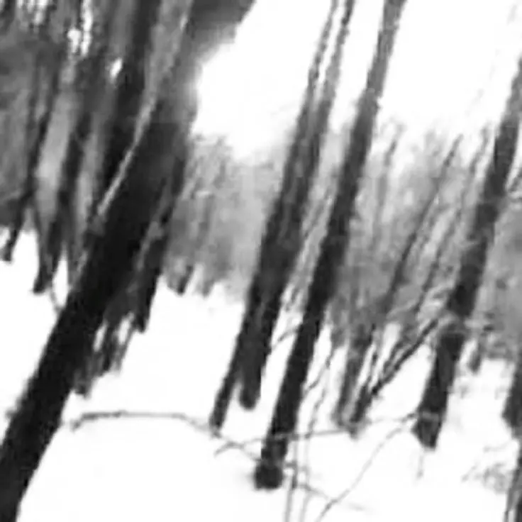 BlackBarb4488의 표유민