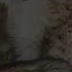 Profile image of 대치동 아줌마