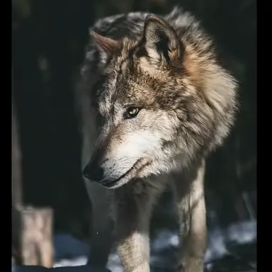 Profile image of 루크