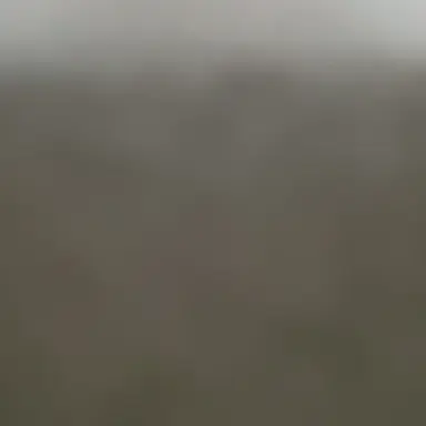 Profile image of 살인범 납치범