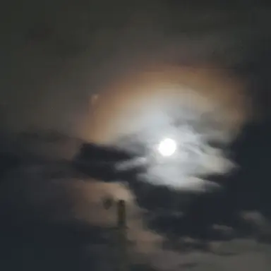 Profile image of 이방울