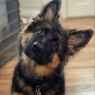 Profile image of 썬더