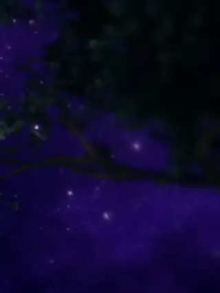 sikufami0209의 王族のあの人