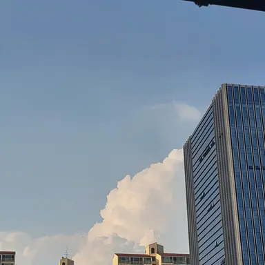 Profile image of 이도라