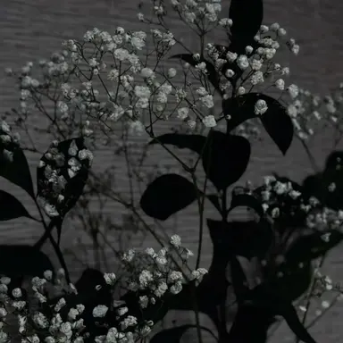 Profile image of 우융