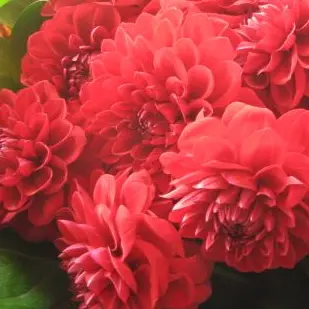 Profile image of 舜太