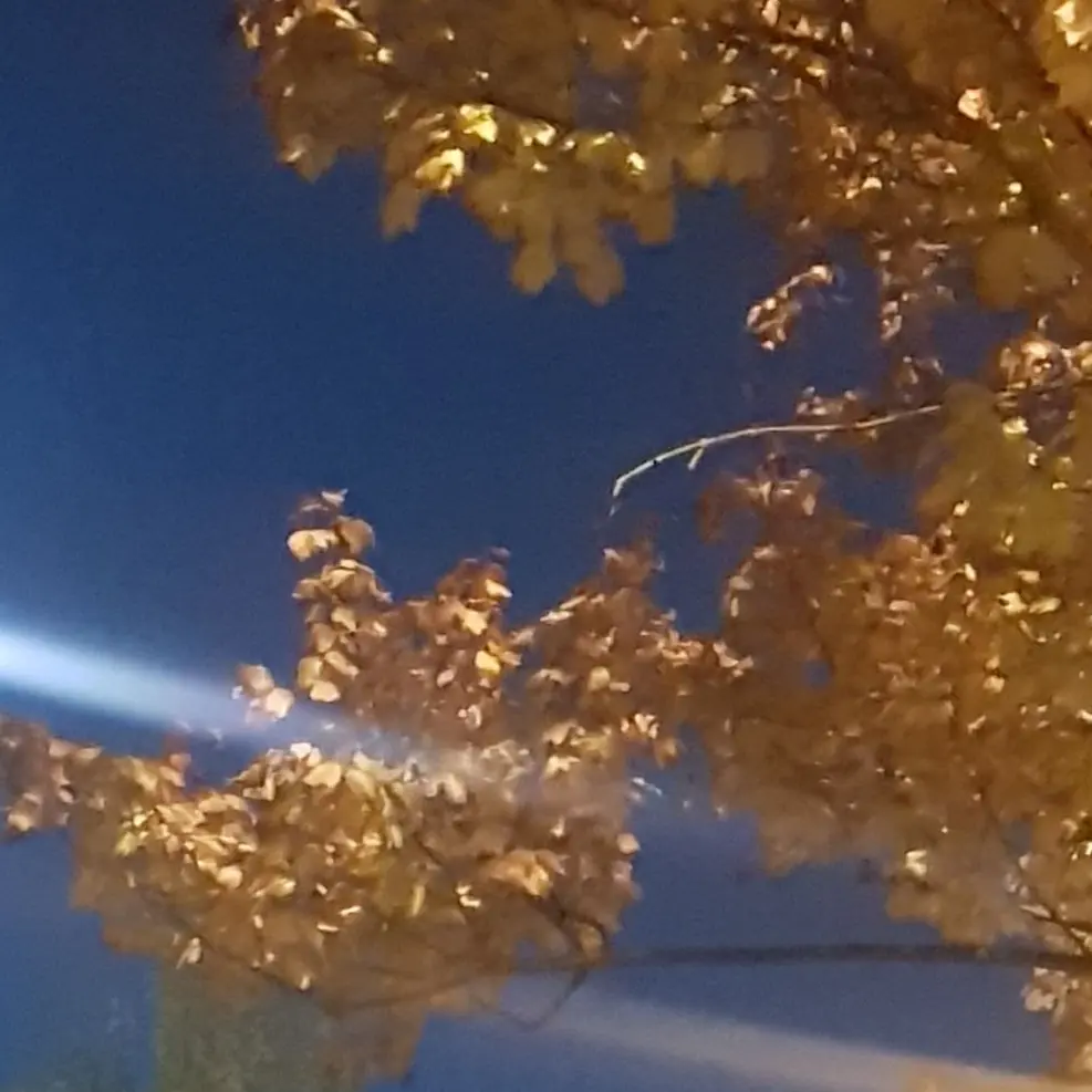 UrbanStand4189의 김민정