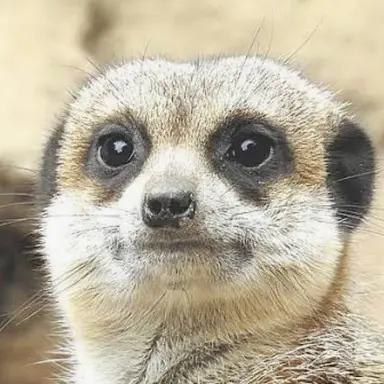 Profile image of 조아윤