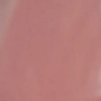 Profile image of 또니