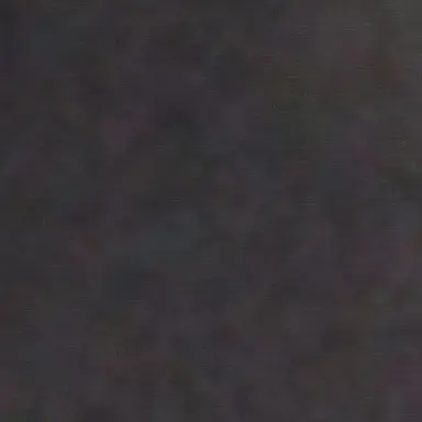 Profile image of 狐