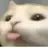 파인애플