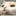 파인애플