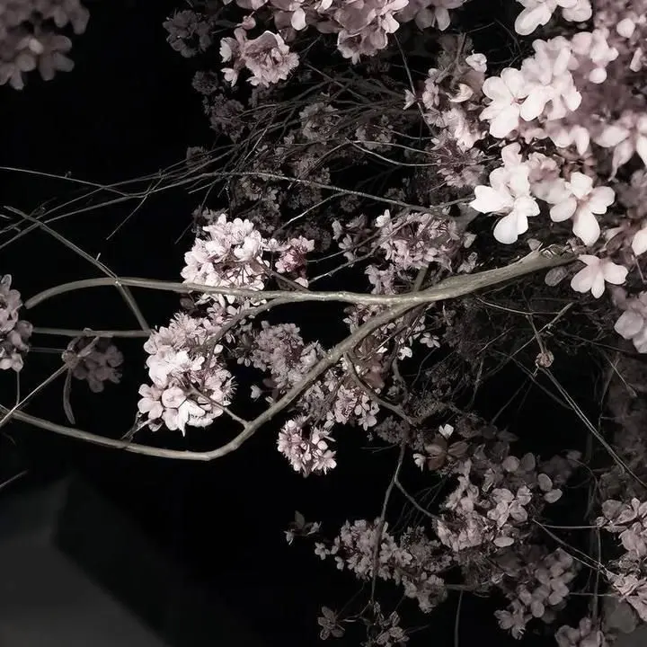 SmartEye4555의 부자 가문 귀칼가족