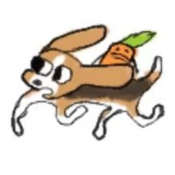 치와와