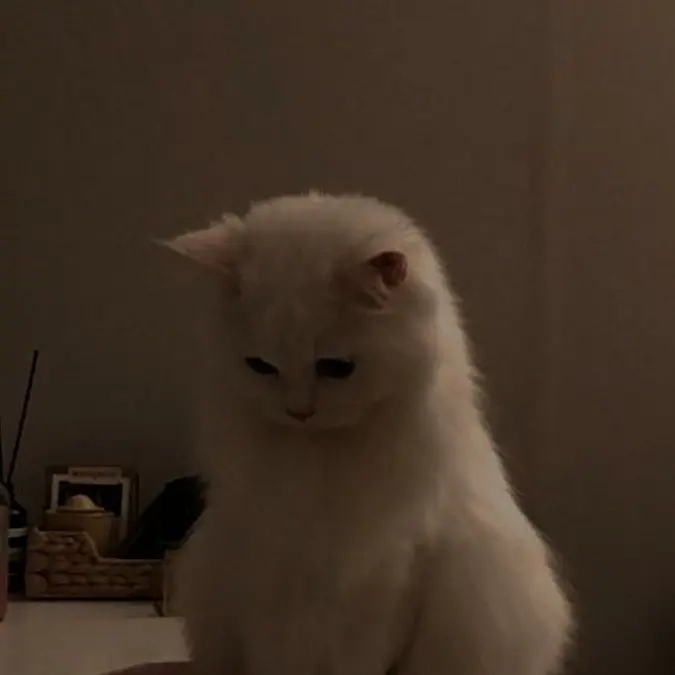 CTN의 우울한게 있으면!털어놔보세요~!