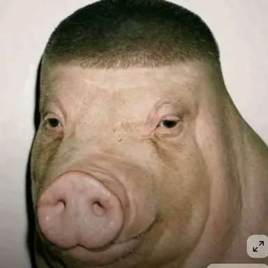 Profile image of 대장