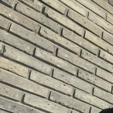 Profile image of 이채영