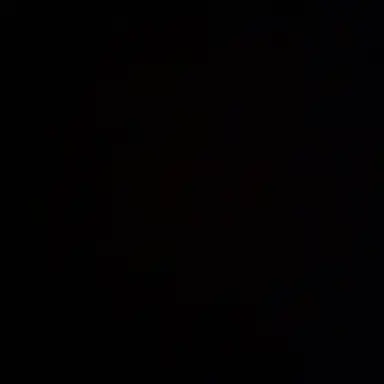 Profile image of 시온